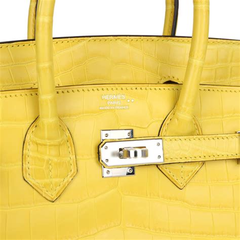 Hermes Birkin 25 Mimosa Matte Niloticus Crocodile 